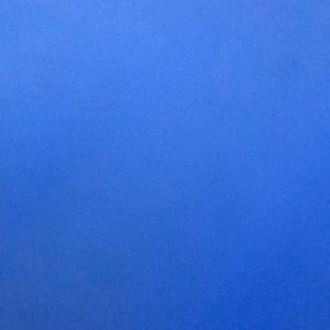 Meet your Posher, Reneiya